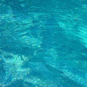 Meet your Posher, Charley